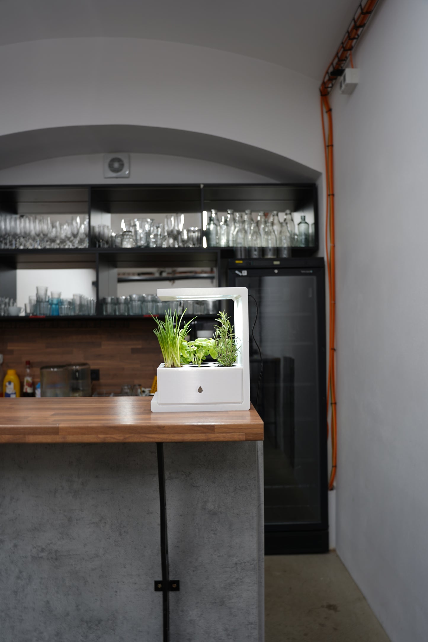 Ekoro - Home hydroponic system