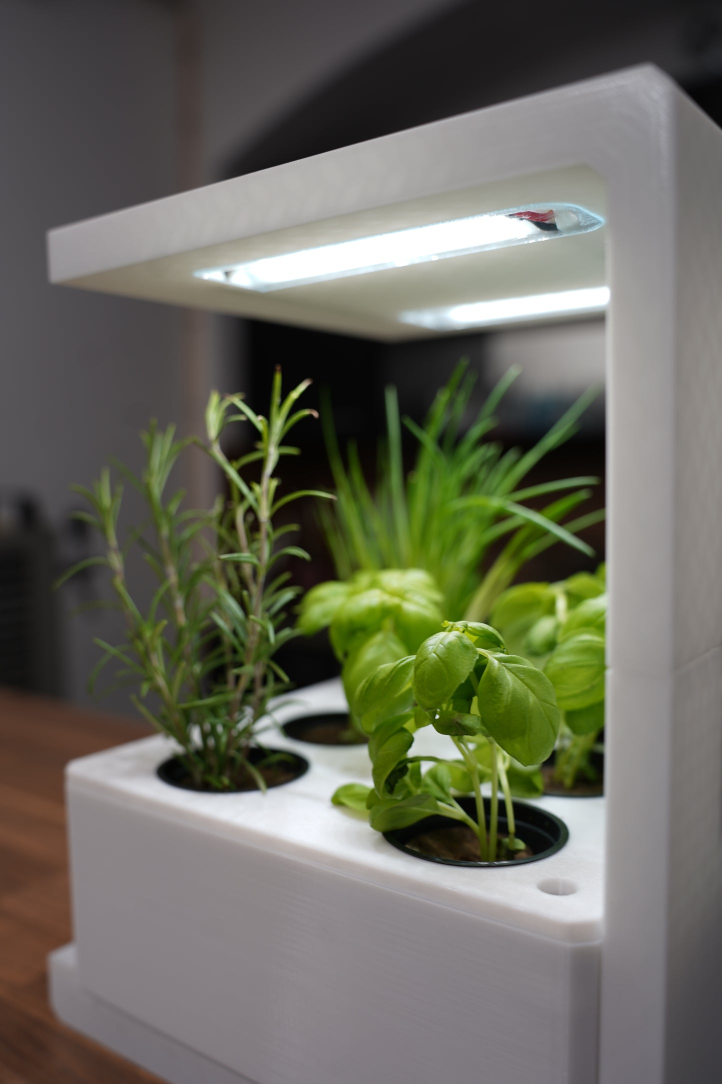 Ekoro - Home hydroponic system