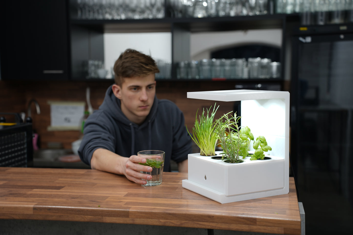 Ekoro - Home hydroponic system