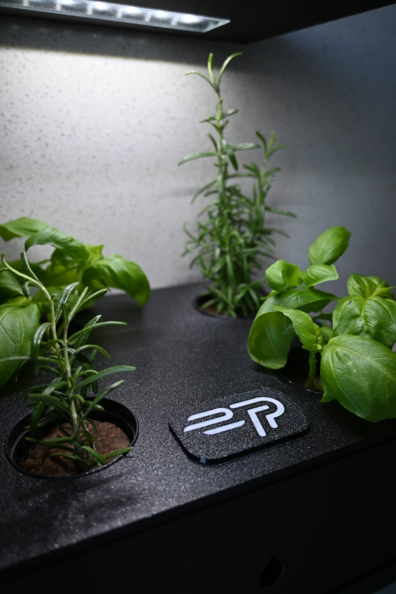 Ekoro - Home hydroponic system