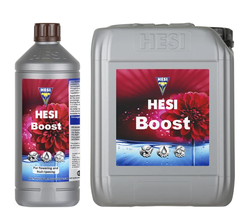 Hesi Boost