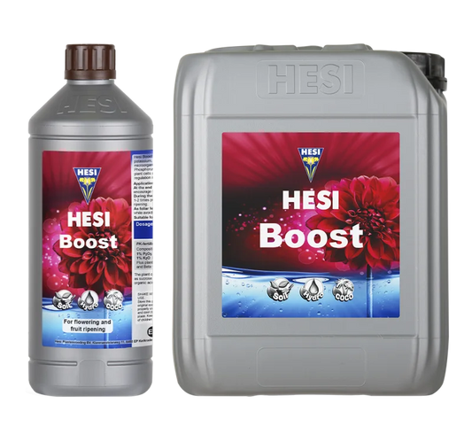 Hesi Boost