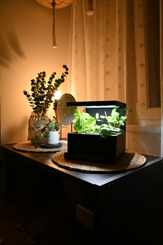 Ekoro - Home hydroponic system